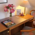 Weisser Schwan 3* ארפורט