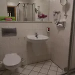 Weisser Schwan 3* ארפורט