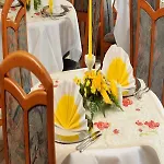 Weisser Schwan 3* ארפורט