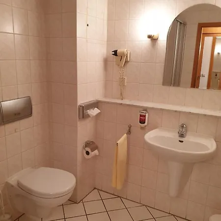 Hotel Weisser Schwan 3*
