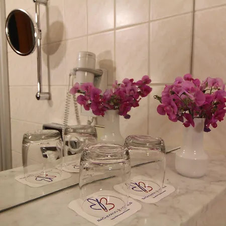 호텔 Weisser Schwan 에르푸르트