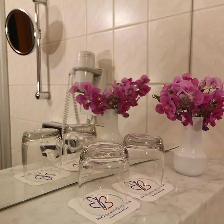 Weisser Schwan Hotel 3*