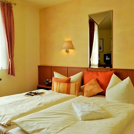 Weisser Schwan Hotel 3*