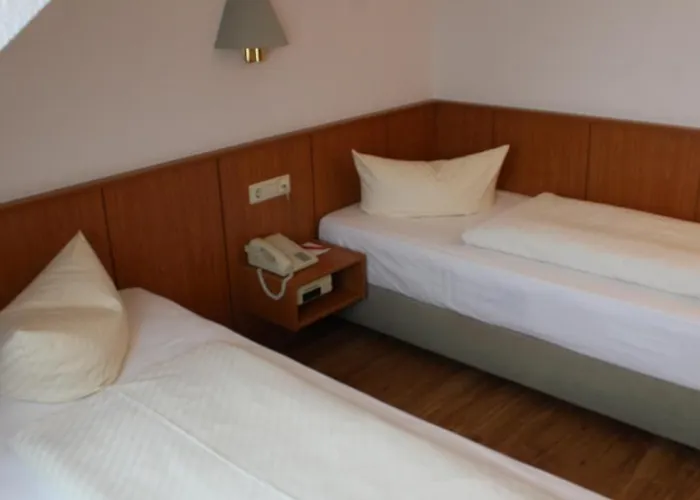 Weisser Schwan Erfurt