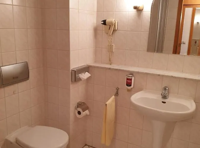 Hotel Weisser Schwan 3*