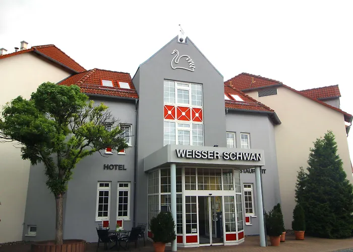 Weisser Schwan Erfurt