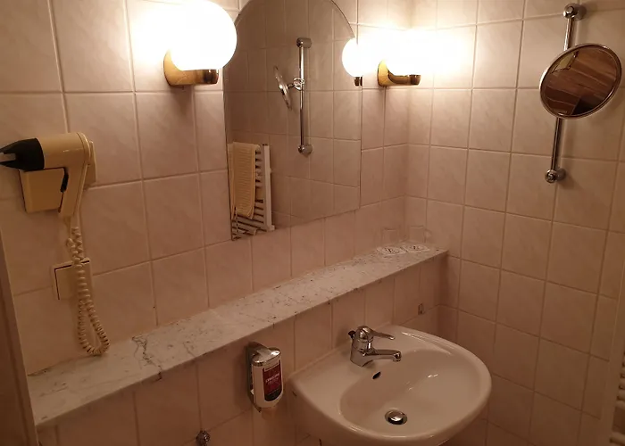 Hotel Weisser Schwan 3*