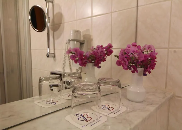 Weisser Schwan Hotel 3*